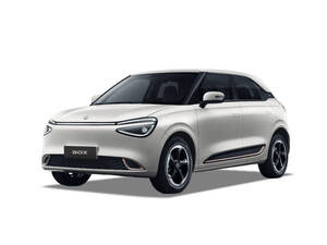 Dongfeng Box 2025